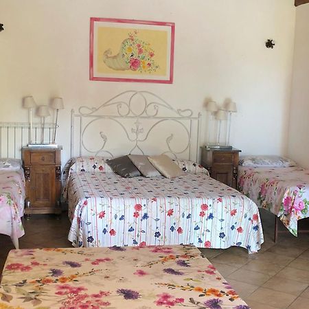Casale Fedele Family Relax B&B Vicino Al Borgo Ronciglione  Εξωτερικό φωτογραφία